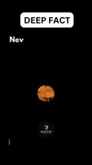 Never hide your bad side..  #shorts