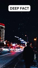 Those who love you truly.. #shorts