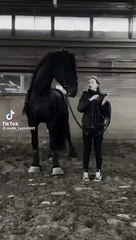 Beautiful animals | girl with horse | riding
