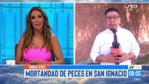 Reportan mortandad de peces en la represa de San Ignacio