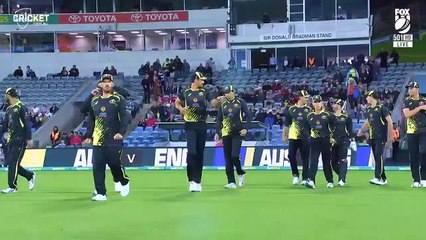 England seal series despite powerful Marsh, David knocks _ Australia v England