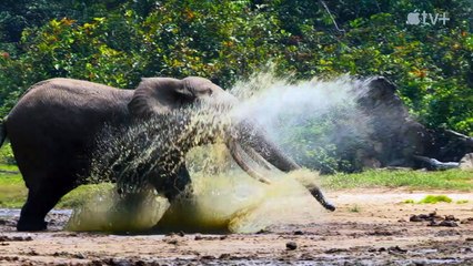Animales a lo grande Tráiler VOSE