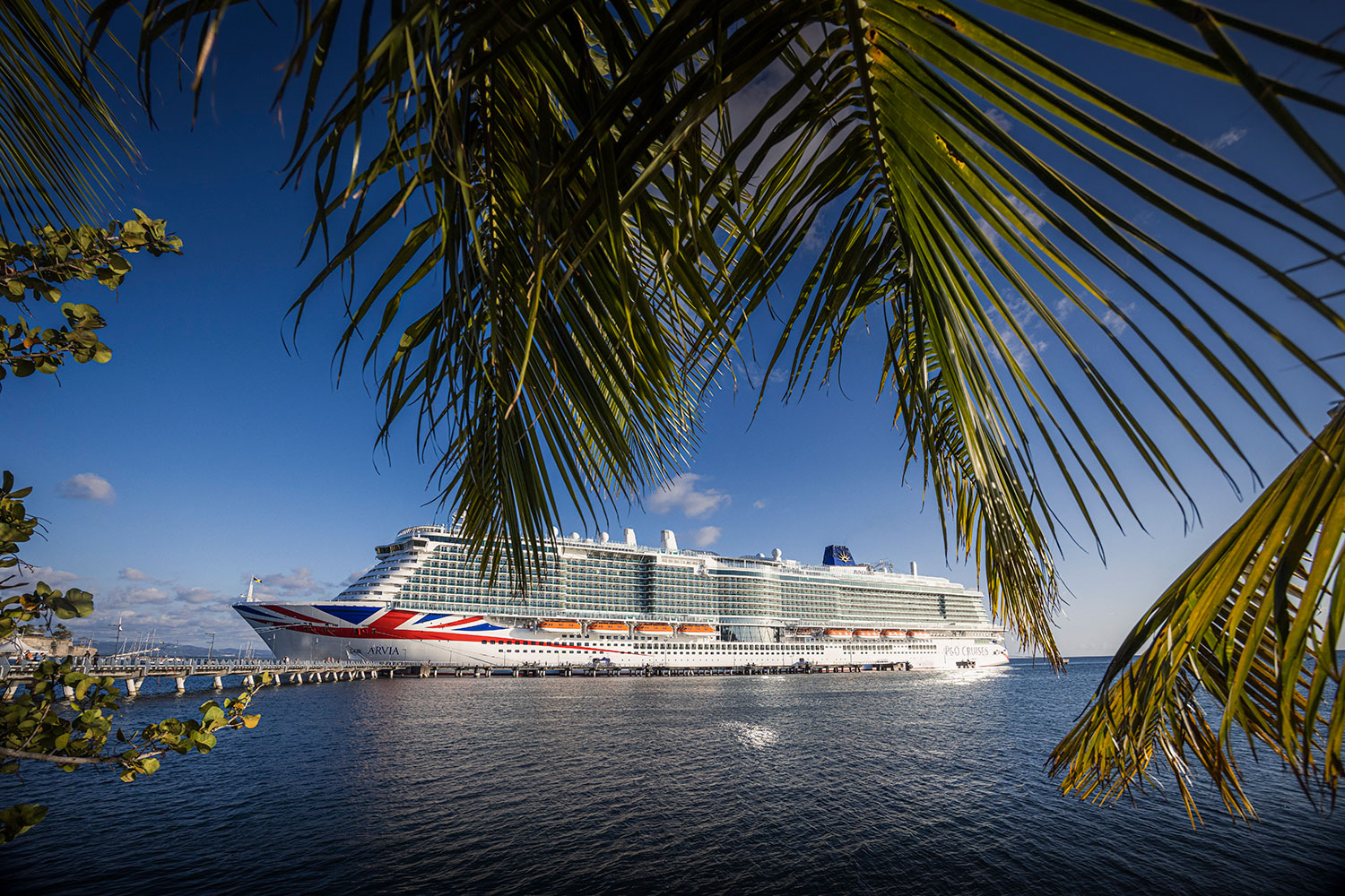 Happy World Oceans Day, Cruises! All Aboard Ship Ahoy