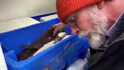 Doncaster market trader discovers 'one in a million' bright blue lobster