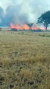 खेत में लगी भीषण आग से सब कुछ जलकर खाक