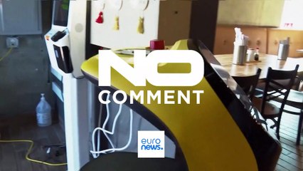 ΗΠΑ: Σερβιτόρος - ρομπότ σε εστιατόριο του Μίσιγκαν (βίντεο)