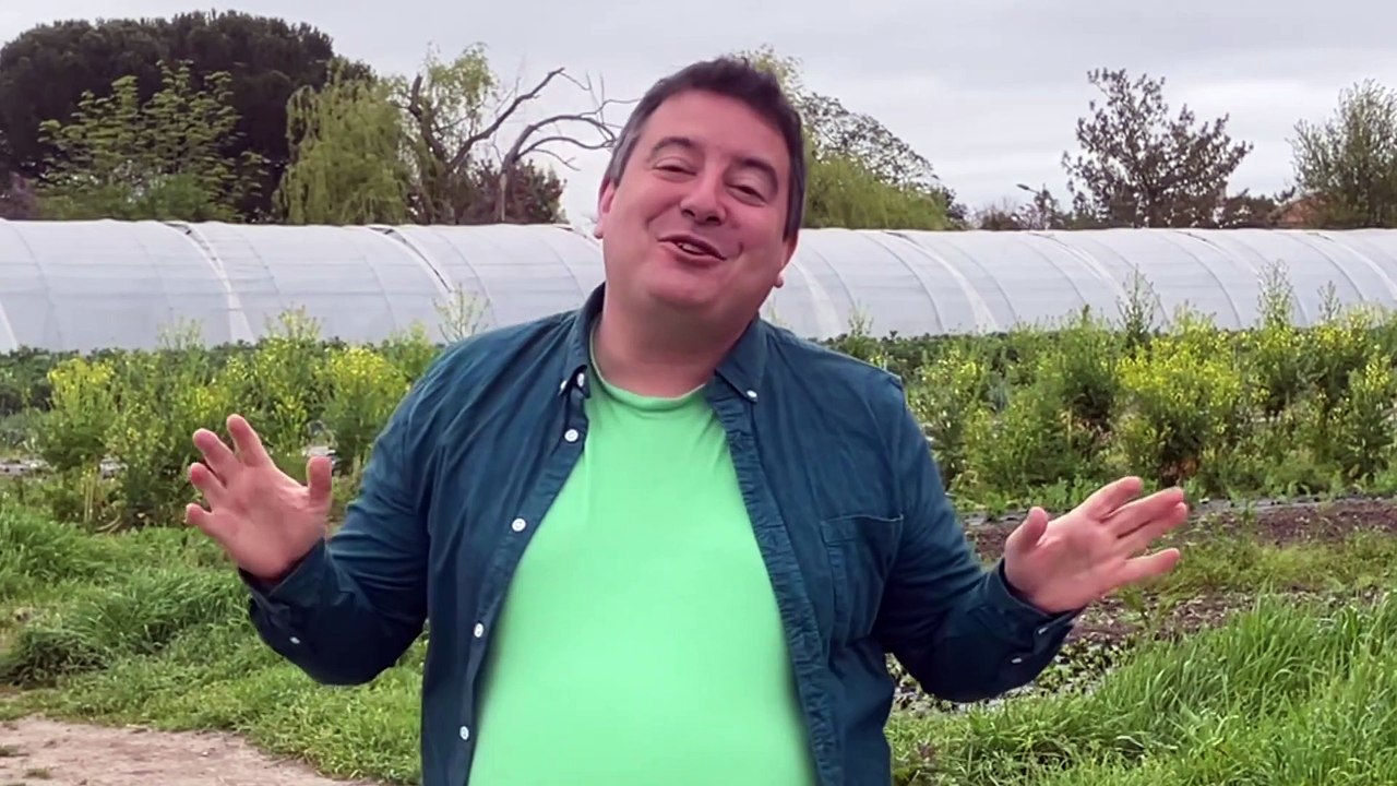 La Ferme Borde Bio en direct