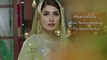 Koi Chaand Rakh OST Lyrical Video | Khwahish Meri Attish Bani | Rahat Fateh Ali Khan