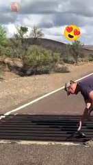 Real Hero rescued  Kangaroo