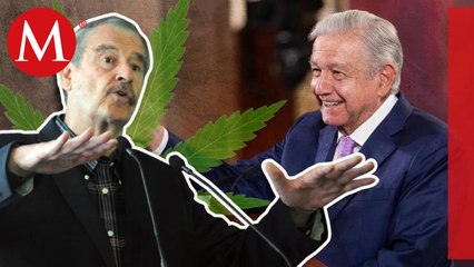Cofepris dio 63 permisos a familia de Fox para comercializar productos de cannabis: AMLO