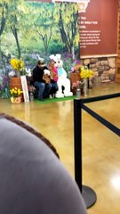 When Your Cats Are Your Children