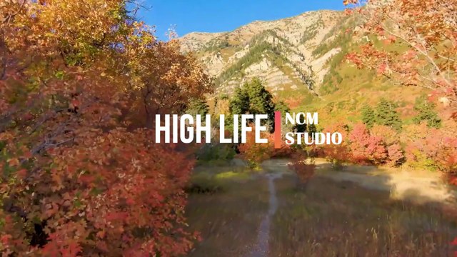 High Life - The Mini Vandals featuring Mamadou Koita and Lasso: Reggae Music, Bright Music