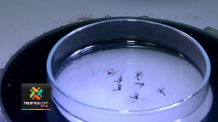 tn7-ministerio-salud-malaria-limon-110423