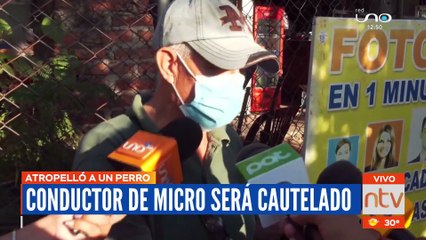 Micrero que atropelló y ocasionó la muerte de un can será cautelado