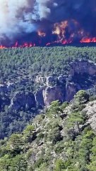 Incendio en el Parque Natural del Alto Tajo