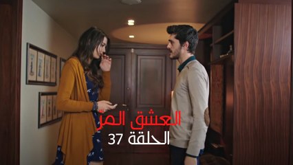 مسلسل العشق المر - الحلقة 37
