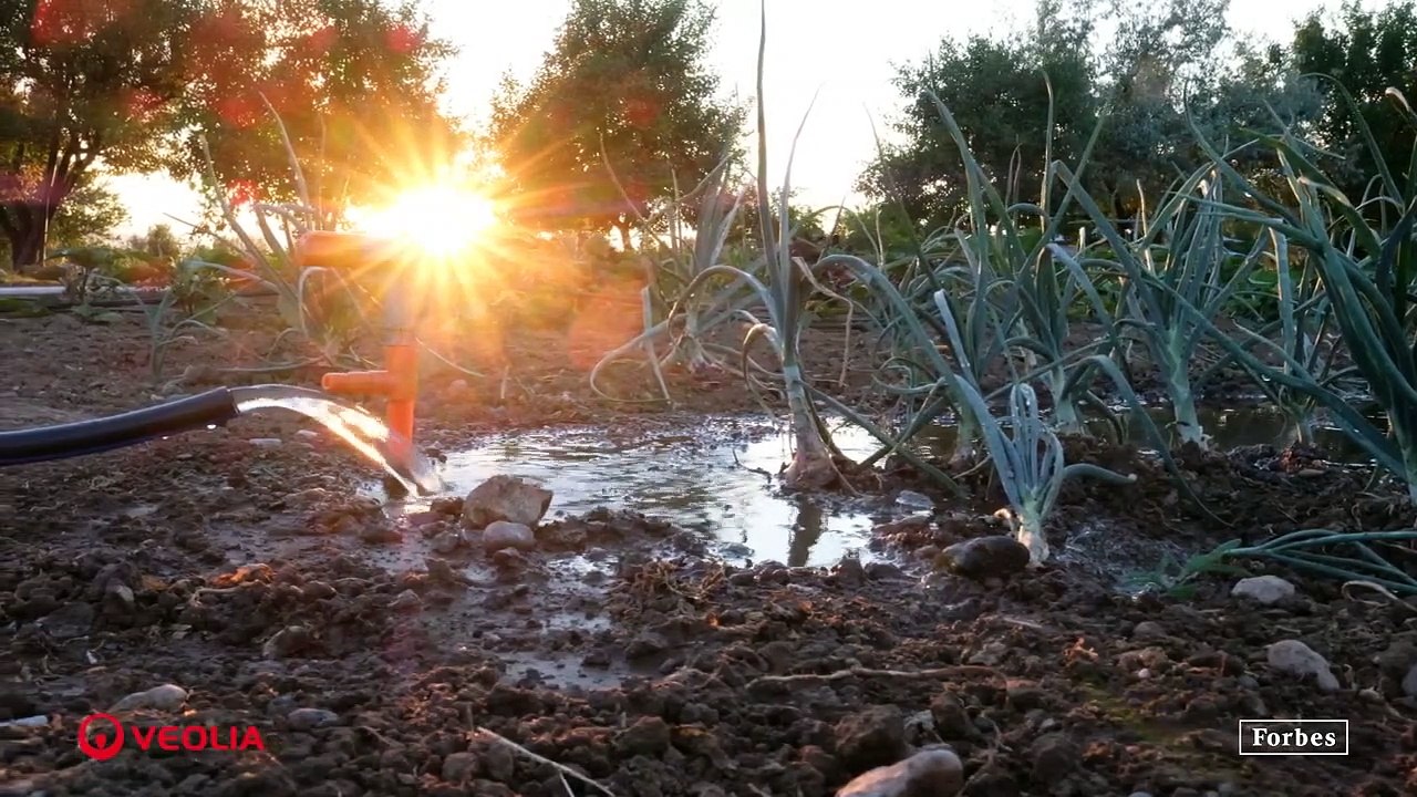 Veolia, el líder que construye con las industrias la transformación ecológica