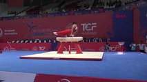 SPOR Artistik Cimnastik Erkek Milli Takımı, Avrupa Şampiyonası'nda gümüş madalya kazandı