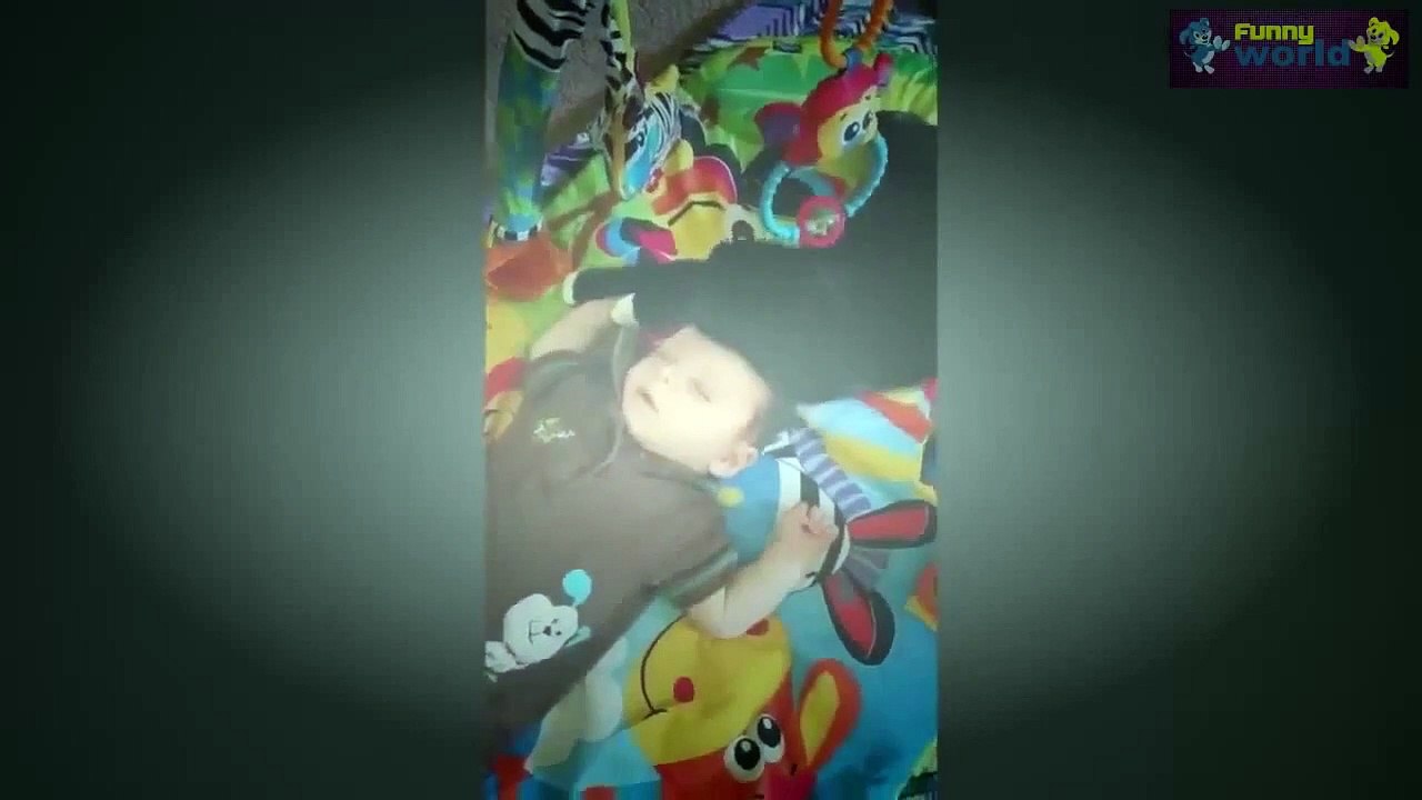 Funny Videos Funny Cats Funny Babies Laughing Funny Animals Videos Funny Dogs 2015