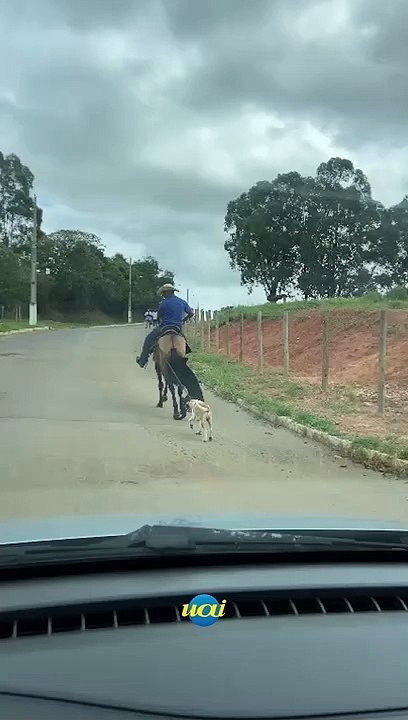 Homem é flagrado puxando cachorro por corda andando de cavalo