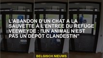 L’abandon d’un chat à la sauvette à l’entrée du refuge Veeweyde : 