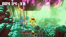 I Survived 100 DAYS as a BLAZE in HARDCORE Minecraft!