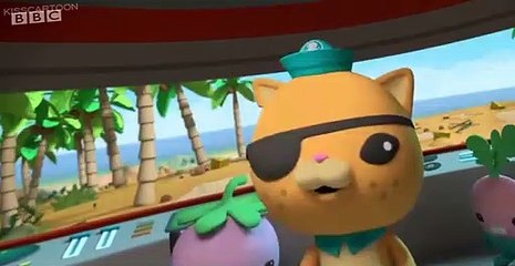 The Octonauts The Octonauts S04 E004 – The Baby Sea Turtles