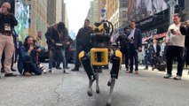 Digidog y K5, los robots que patrullarán las calles de Nueva York