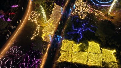 Annual Parrtjima light festival draws crowds to NT