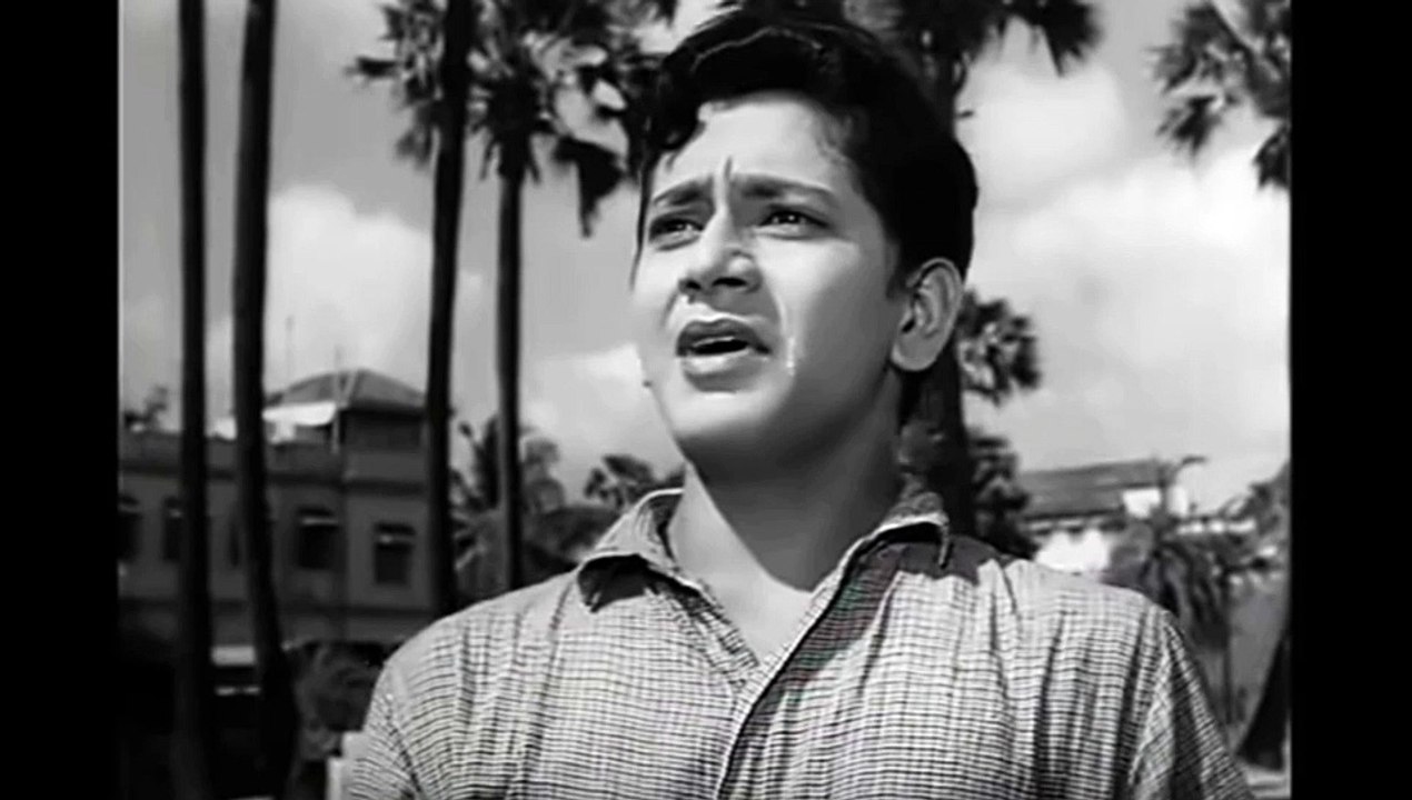 Chahunga Main Tujhe | Flute Cover | Mohammed Rafi | Dosti