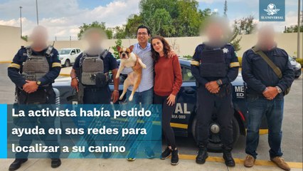 “Frank”, la mascota robada de la activista Majo Martínez, fue recuperada cinco días después