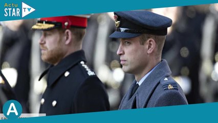 Harry et William ont-ils vraiment joué dans Star Wars ? On démêle le vrai du faux !