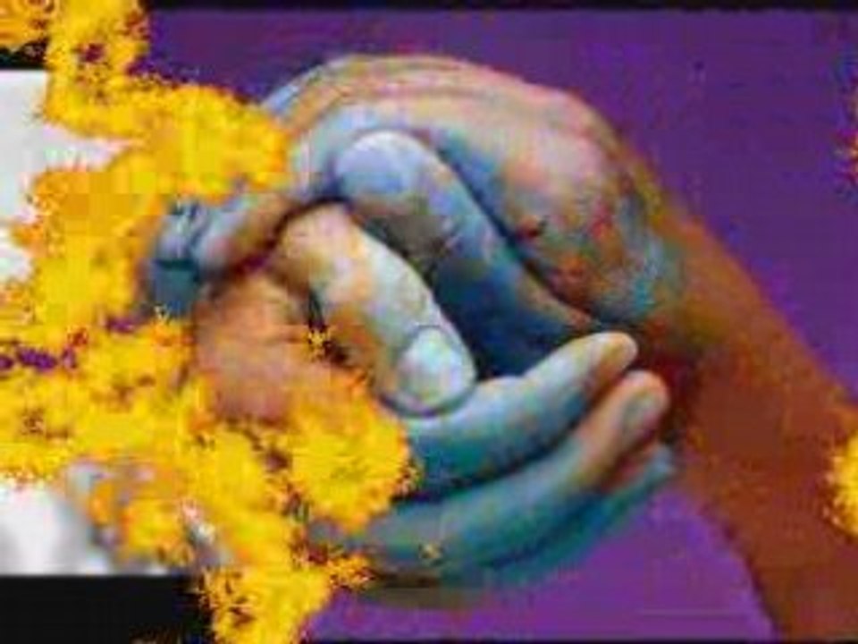 Les Enfoirés - L'amitié pour toi mon Amie "Ambrase"113