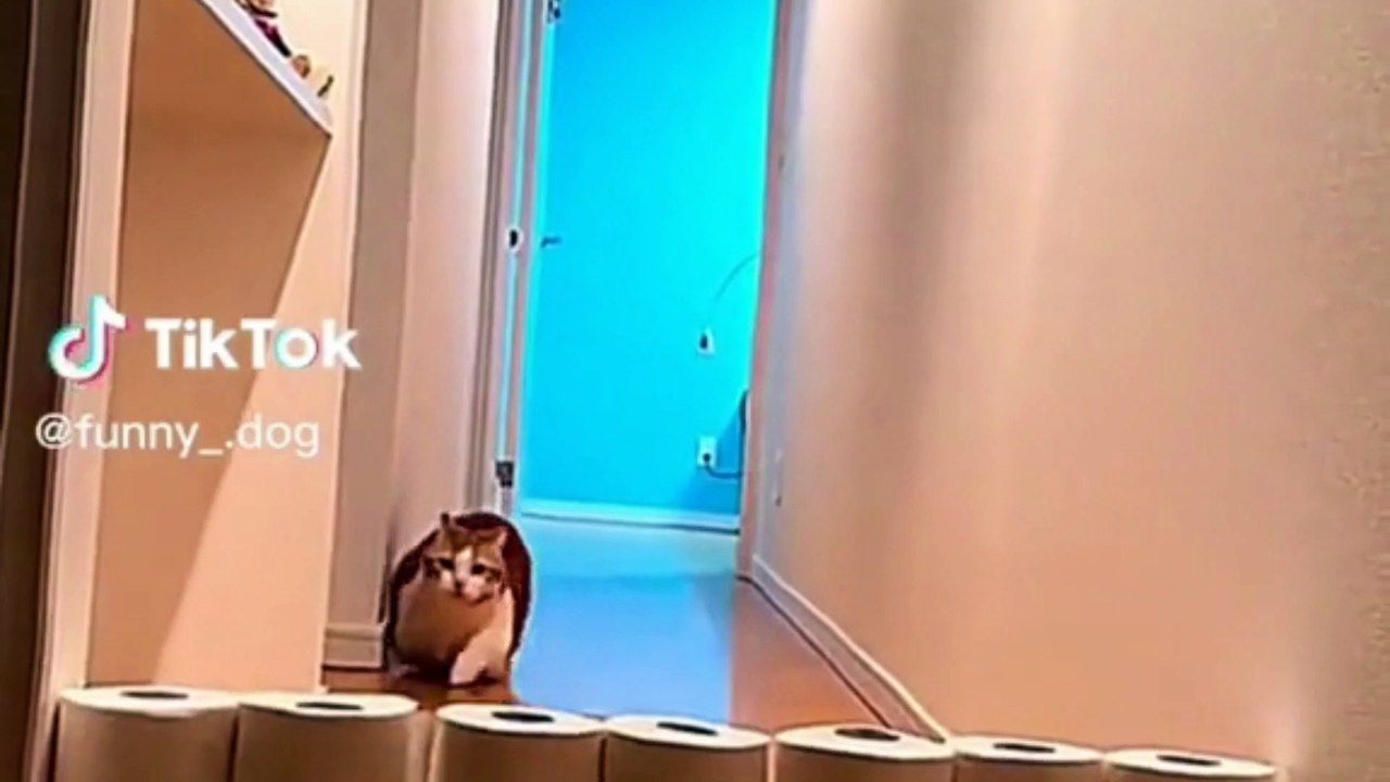 Try to watch without smile