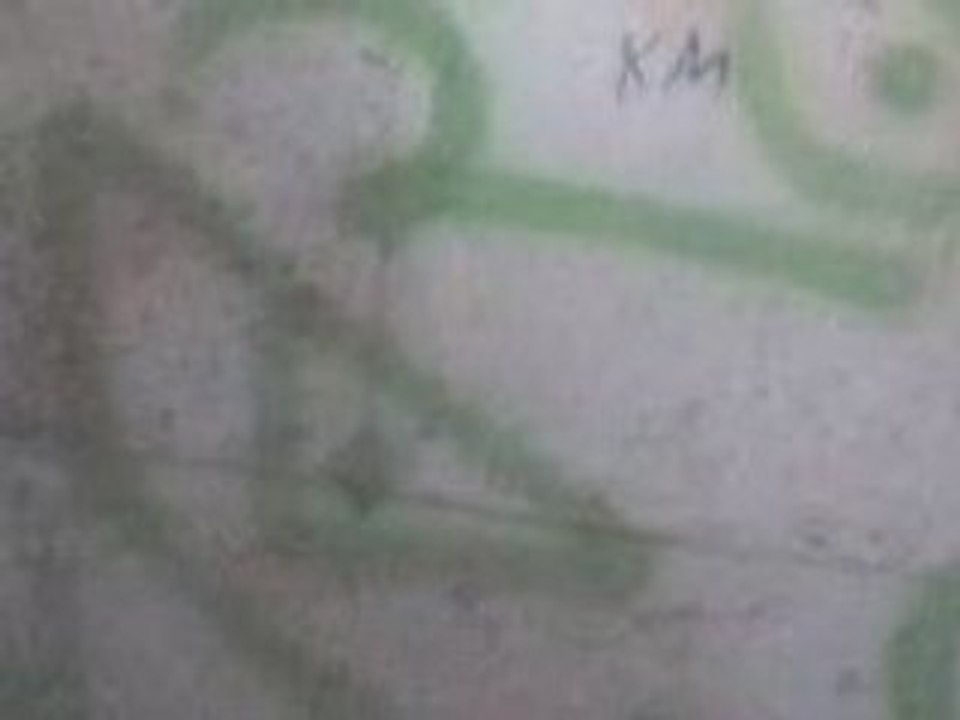 BRAKO GRAFF