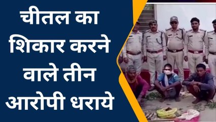 अनूपपुर: चीतल का शिकार करने वाले 3 आरोपी गिरफ्तार,कुल्हाड़ी समेत जप्त हुआ मांस