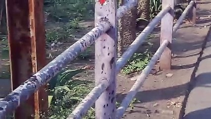 गर्म हवाएं कर रहीं परेशान, इस हफ्ते पारा 40 डिग्री के पार जा सकता है