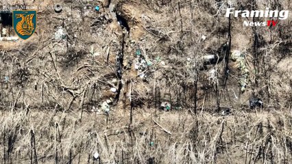 Marinir Ukraina menjatuhkan bom pada pasukan Rusia di dekat Donetsk