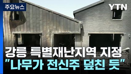 "전신주로 쓰러진 나무가 산불 원인"...특별재난지역 지정 / YTN