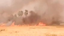 सिवान: 40 बीघा खेत में लगी गेंहू की फसल जलकर हुई राख, जानें कैसे हुआ हादसा