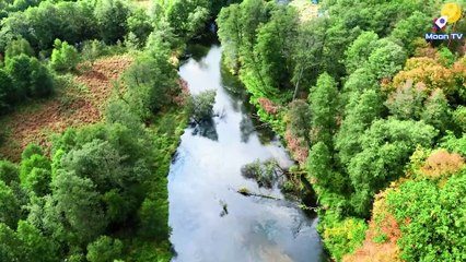 Instrumental Music for Relaxation and Mindful Meditation