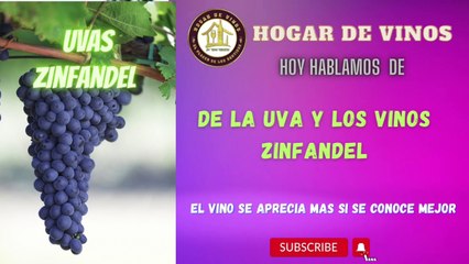 todo sobre la uva y los vinos Zinfandel