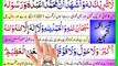 Six Kalimas in Islam with Urdu Translation -- 6 Kalimas HD Arabic text with Finger Highlighter