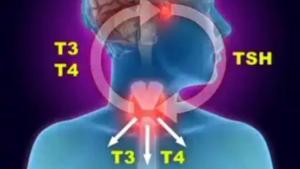 thyroid real cause | What happens in the thyroid? | thyroid kio hota hai@rahmancare