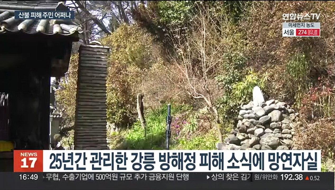 참혹한 산불 피해 현장…피해 주민 생계 막막