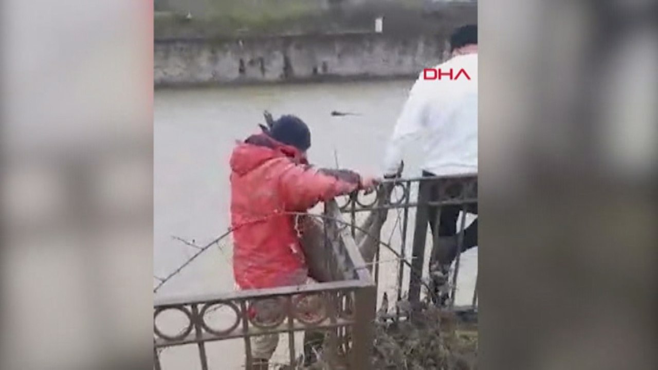 Derede mahsur kalan karca kurtarıldı