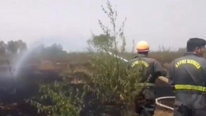 अलीगढ़: गेहूं की खड़ी फसल में लगी भीषण आग, किसान का हुआ बड़ा नुकसान