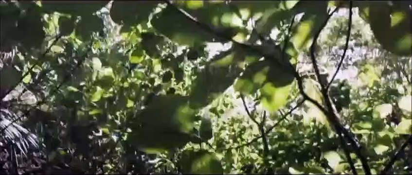 L'ORDRE ET LA MORALE (2011) FRENCH WEBRip