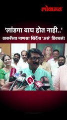 'लांडगा वाघ होत नाही..' ठाकरेंच्या माणसा शिंदेंना 'असं' डिवचलं!