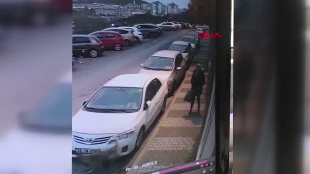 Başıboş köpekler mahalle sakinlerinin kabusu